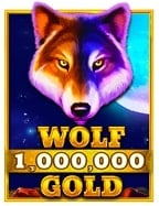 เจาะลึกสูตรเด็ด พนัน 365slotxo 311 รับรองไม่พลาด